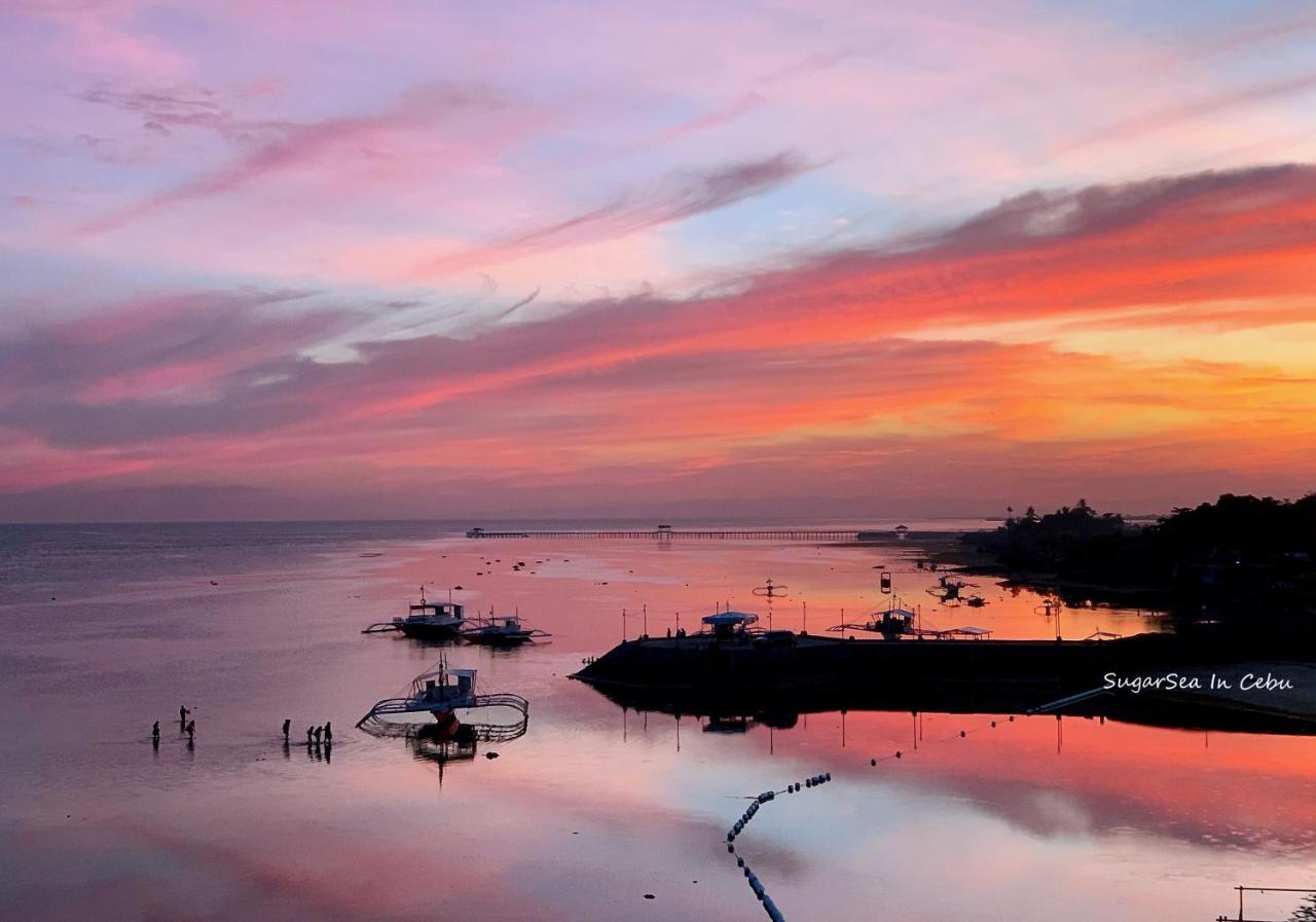 Sugarsea Inn & Dive Shop 麦克坦 外观 照片