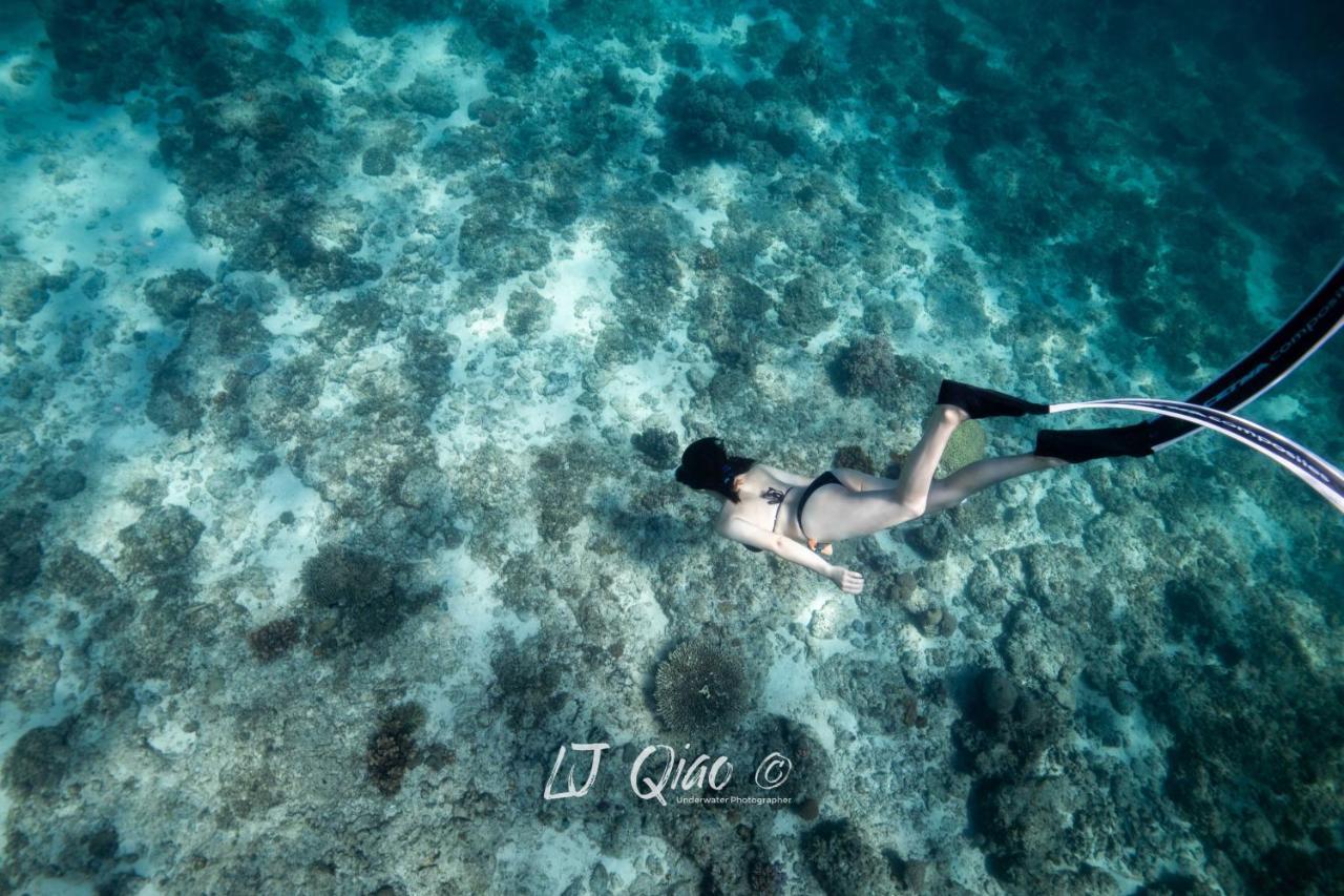Sugarsea Inn & Dive Shop 麦克坦 外观 照片